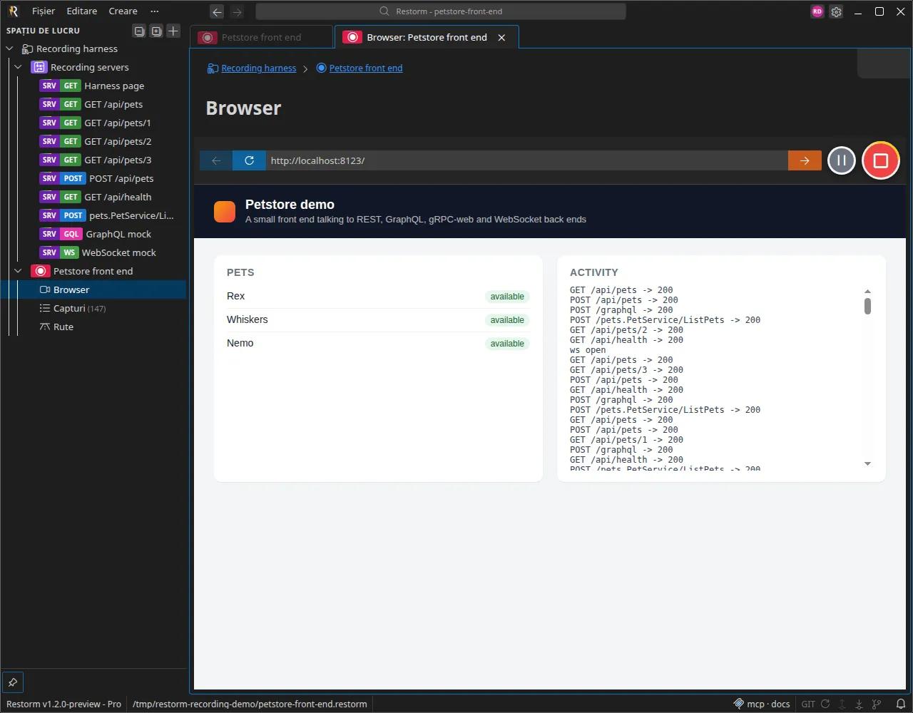 Mini-browserul în timpul unei înregistrări: pagina site-ului, butoanele Pune înregistrarea pe pauză și Oprește înregistrarea pe linia de adresă, insigna roșie pe sesiune