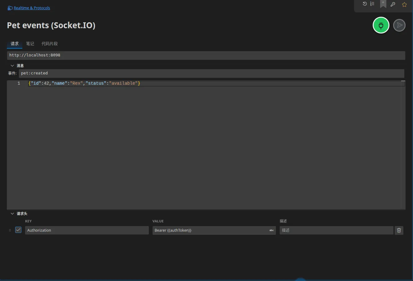 一个 Socket.IO 标签页：服务器 URL、事件名称 “pet”、要发送的 JSON 负载以及握手请求头