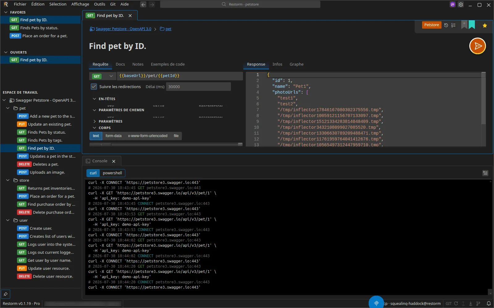 Un workbench divisé : la configuration de la requête à gauche, sa réponse à droite, et la console dans un groupe en dessous sur toute la largeur